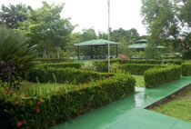 II Colóquio de Letras